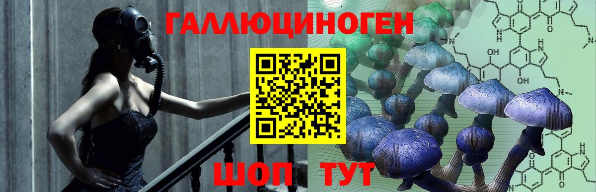 Алексин  Псилоцибиновые грибы MAGIC MUSHROOMS  Вход с VPN 