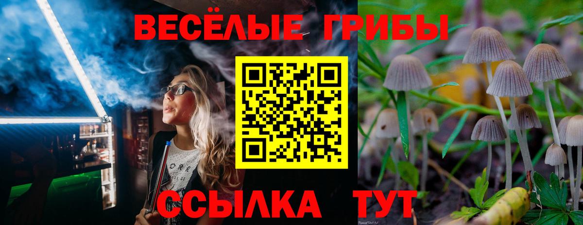 Галлюциногенные грибы мухоморы Алексин